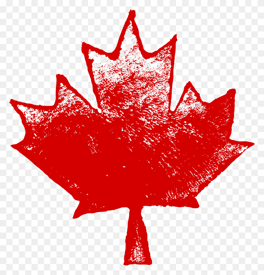 2000x2092 Free Maple Leaf, Leaf, Plant, Tree HD PNG Download