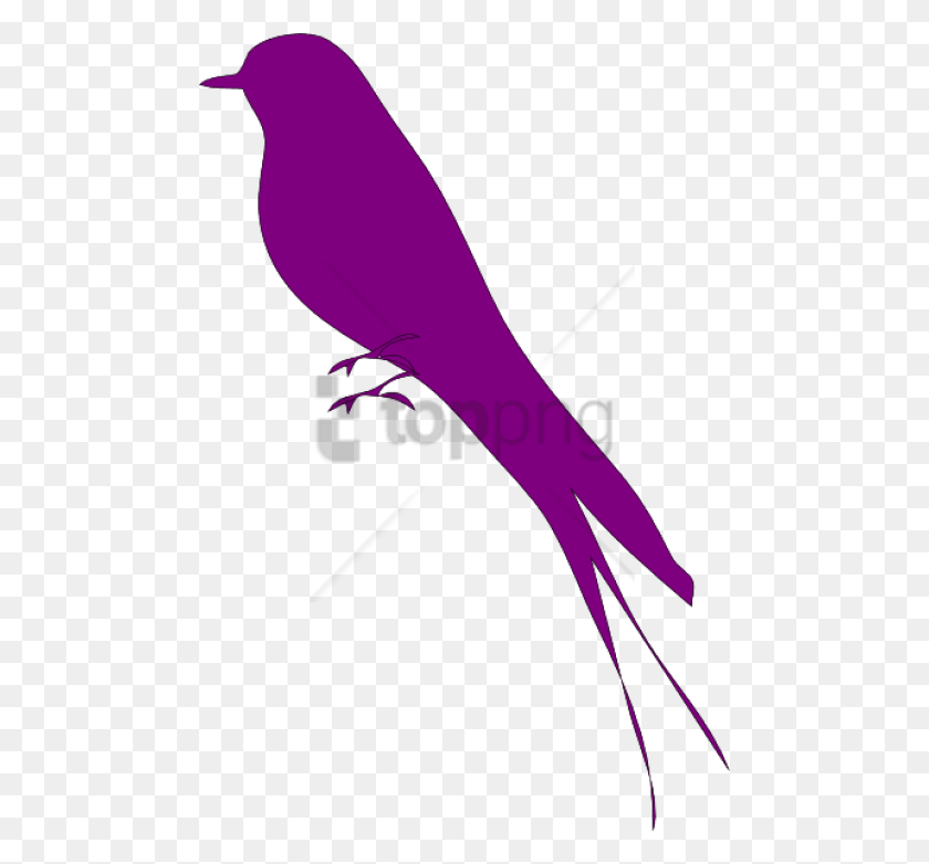 480x722 Png Пересмешник Черно-Белое Изображение С Логотипом Фиолетовой Птицы, Животное, Лук, Символ Hd Png Скачать