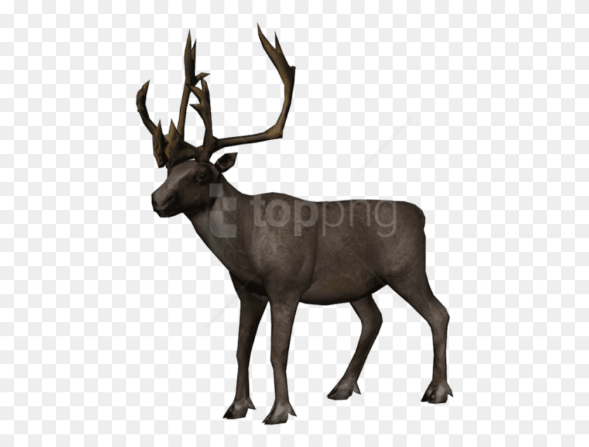 455x578 Free Moose Images Transparent Red Dead Redemption 2 Wapiti Location, Antelope, Wildlife, Mammal HD PNG Download