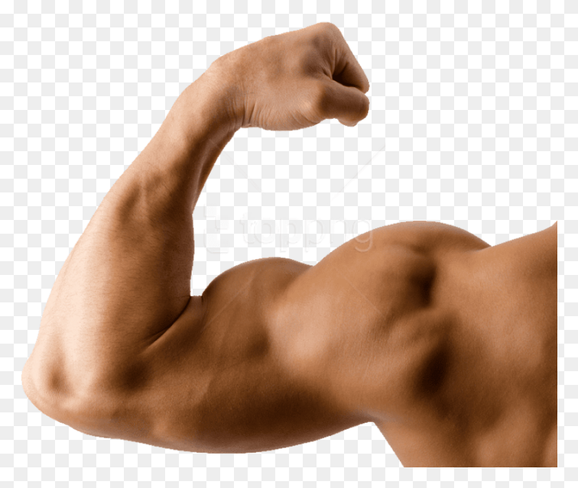 851x710 Free Muscle Images Transparent Muscle Arm, Person, Human, Shoulder HD PNG Download