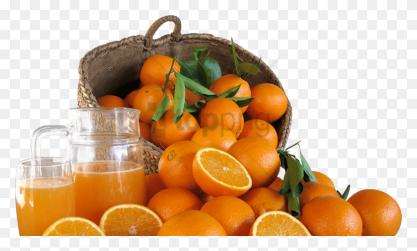 850x488 Free Naranja Image With Transparent Background Tangerine, Citrus Fruit, Fruit, Plant HD PNG Download