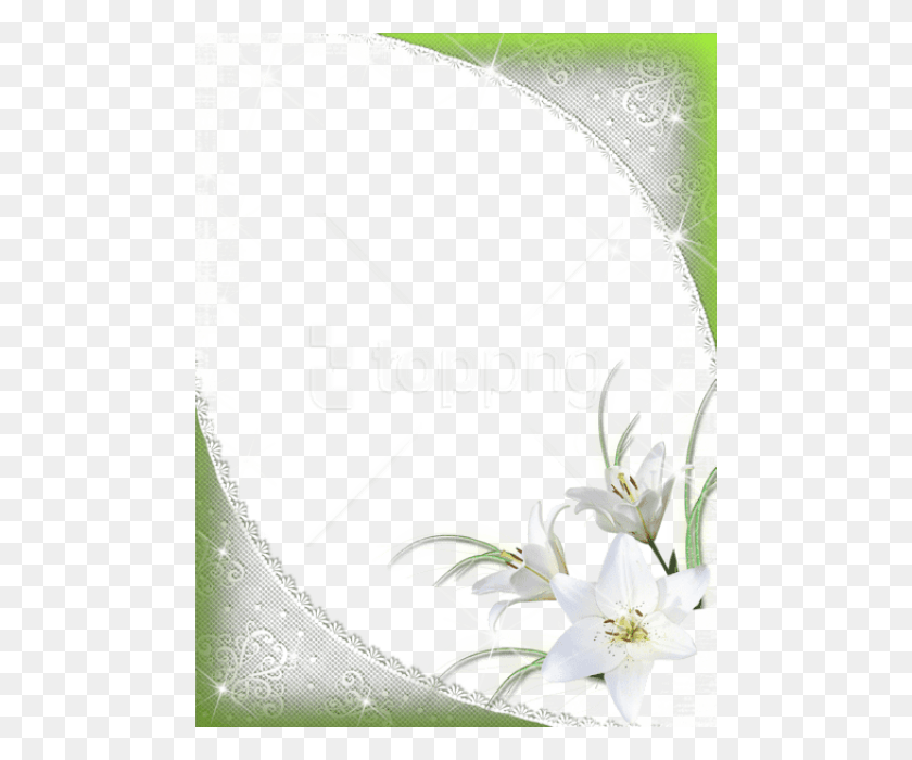 480x640 Png Красивая Зеленая Рамка С Белыми Цветами
