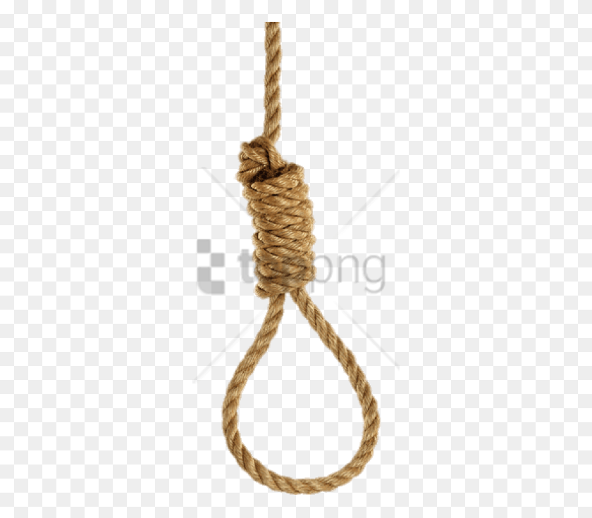 295x676 Free Noose With Large Knot Image With Transparent Transparent Background Noose Transparent, Rope HD PNG Download