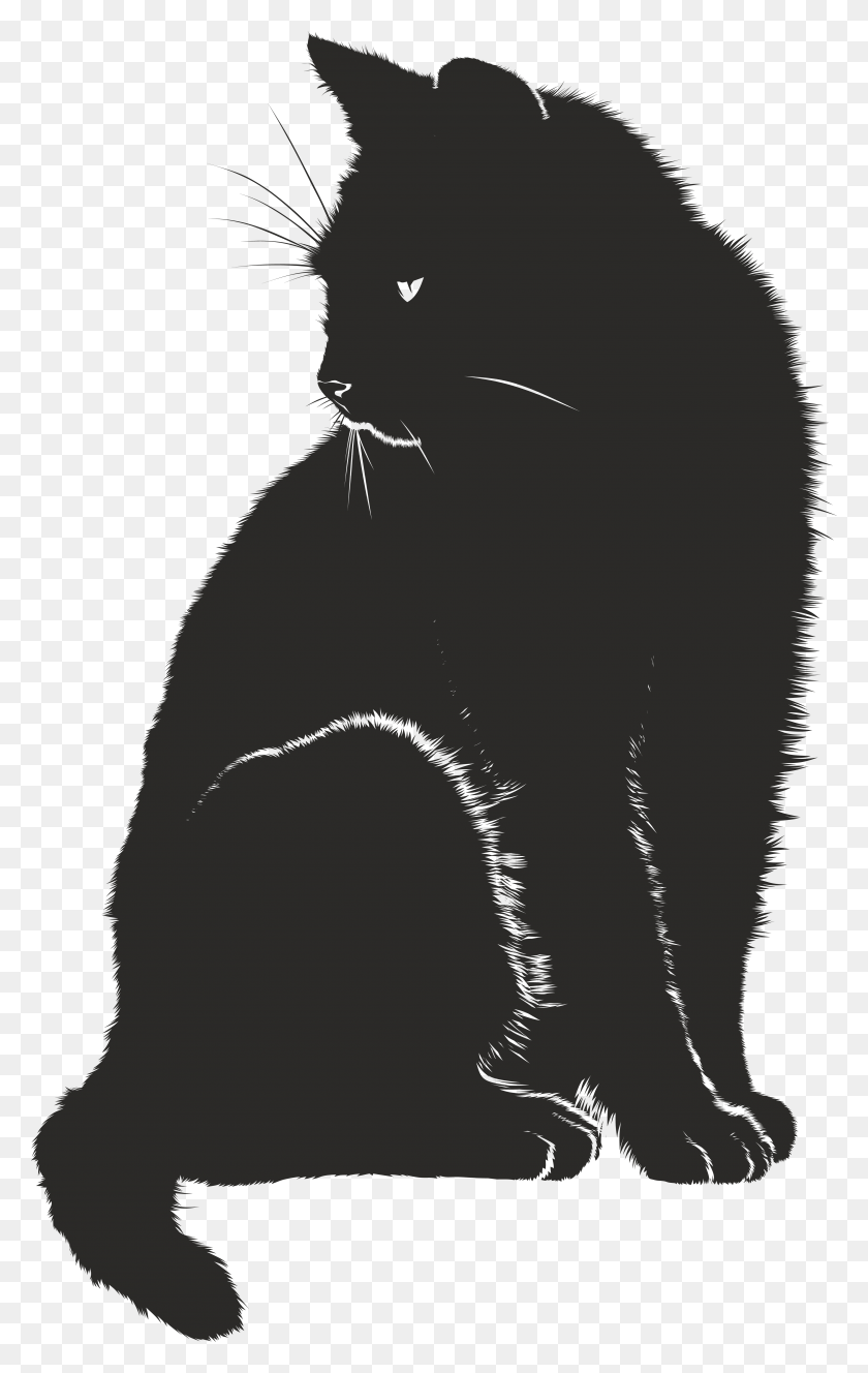 4000x6505 Черно-Белая Сидящая Черная Кошка Графика, Животное, Млекопитающее Hd Png Скачать