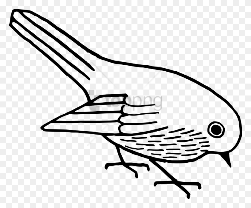 850x695 Free Of Bird Image With Transparent Background Bird Clipart Black And White, Vehicle, Transportation, Aircraft HD PNG Download