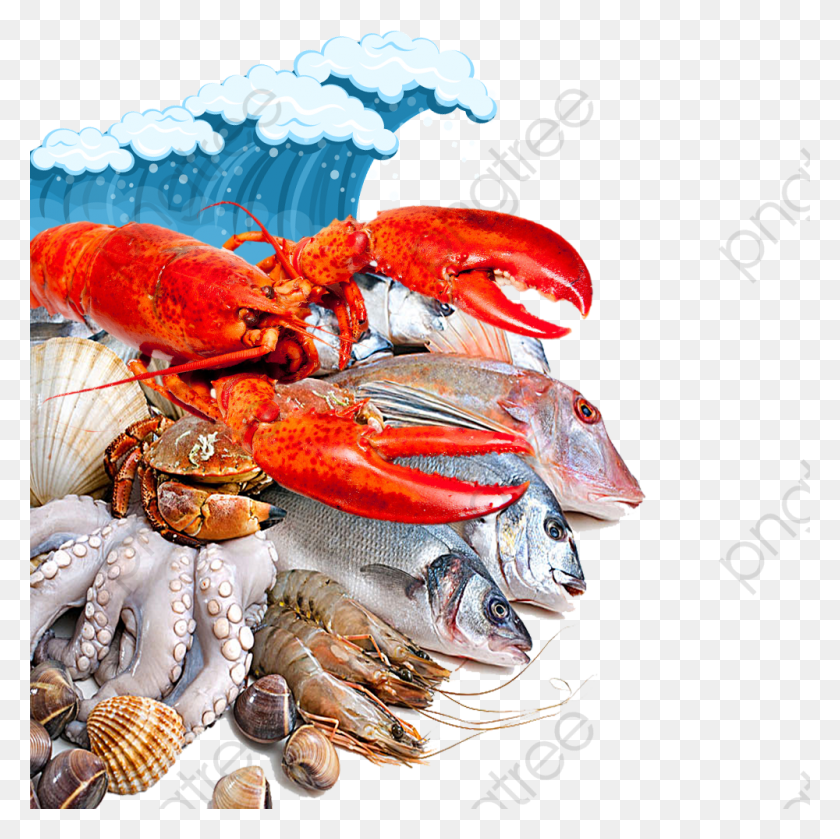 1000x1000 Free Of Different Types Of Food Seafood In Vizag, Fish, Animal, Sea Life HD PNG Download