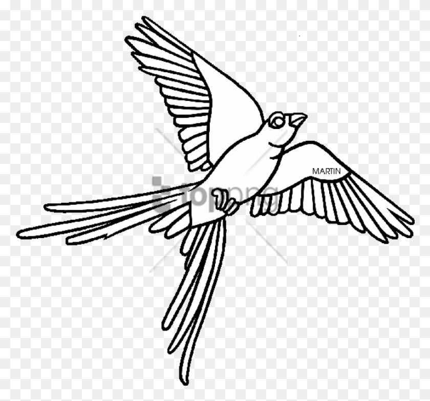 850x788 Free Oklahoma State Bird Drawing Image With Scissor Tailed Flycatcher Clipart, Flying, Bird, Animal HD PNG Download