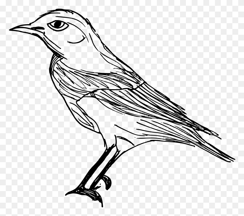 1760x1550 Free Old World Flycatcher, Gray, World Of Warcraft HD PNG Download