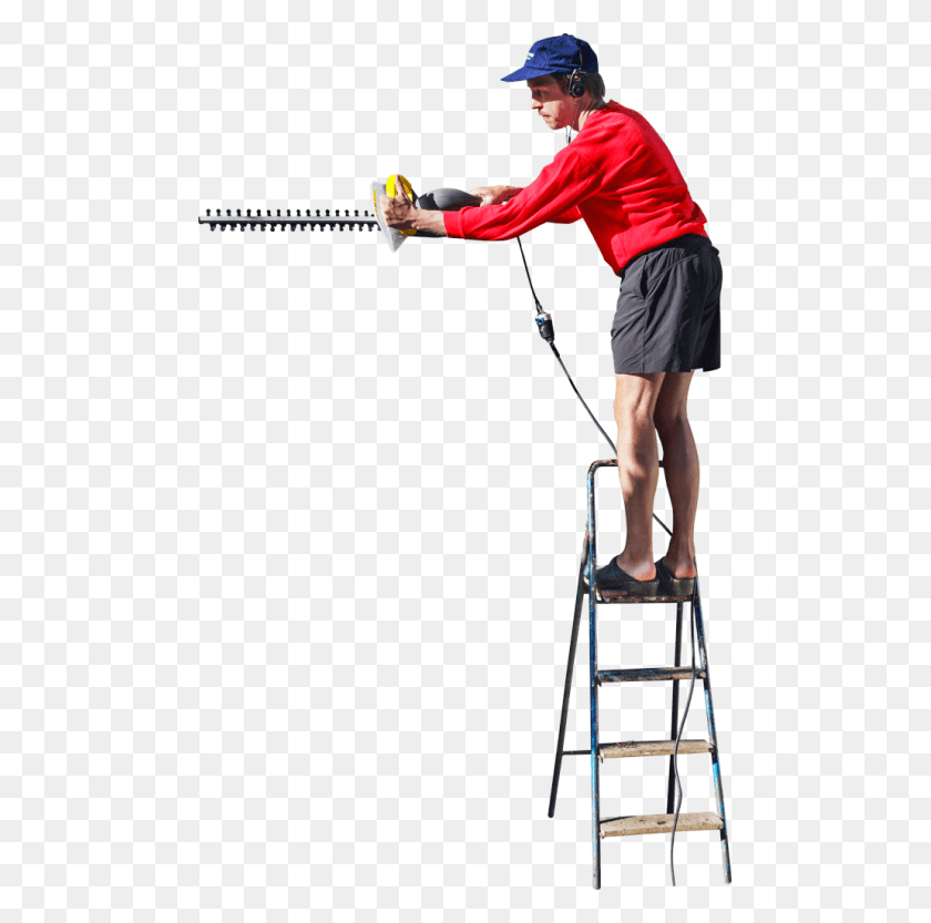481x773 Free On A Ladder Cutting The Hedge Cut Out People On Ladder, Person, Human, Furniture HD PNG Download