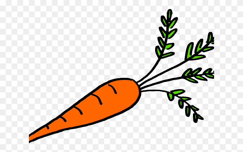 641x467 Free On Dumielauxepices Net Carrot, Plant, Vegetable, Food HD PNG Download