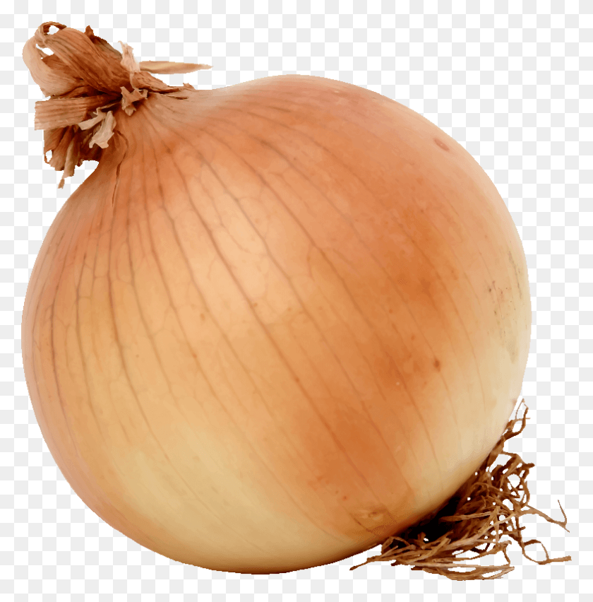 787x800 Free Onion Onion Clipart, Plant, Shallot, Vegetable HD PNG Download