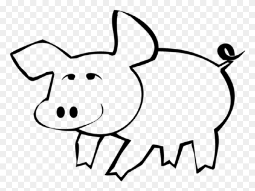 850x623 Free Outlines Of A Pig Images Background Pig Cartoon Color, Gray, World Of Warcraft HD PNG Download