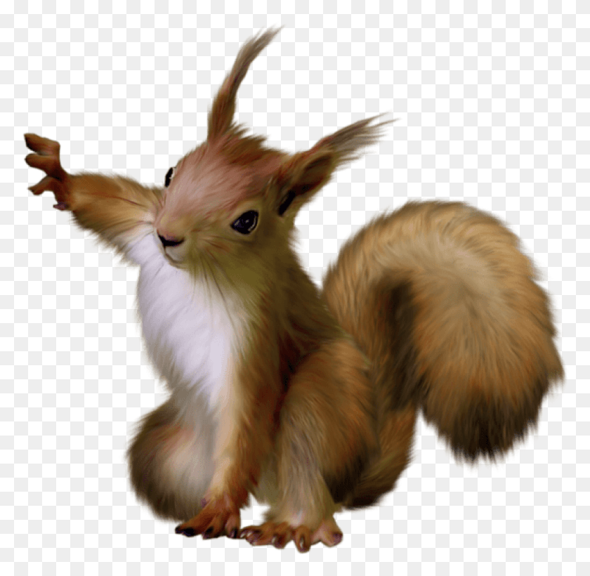 822x801 Free Painted Squirrel Images Transparent Squirrel Transparent, Rodent, Mammal, Animal HD PNG Download