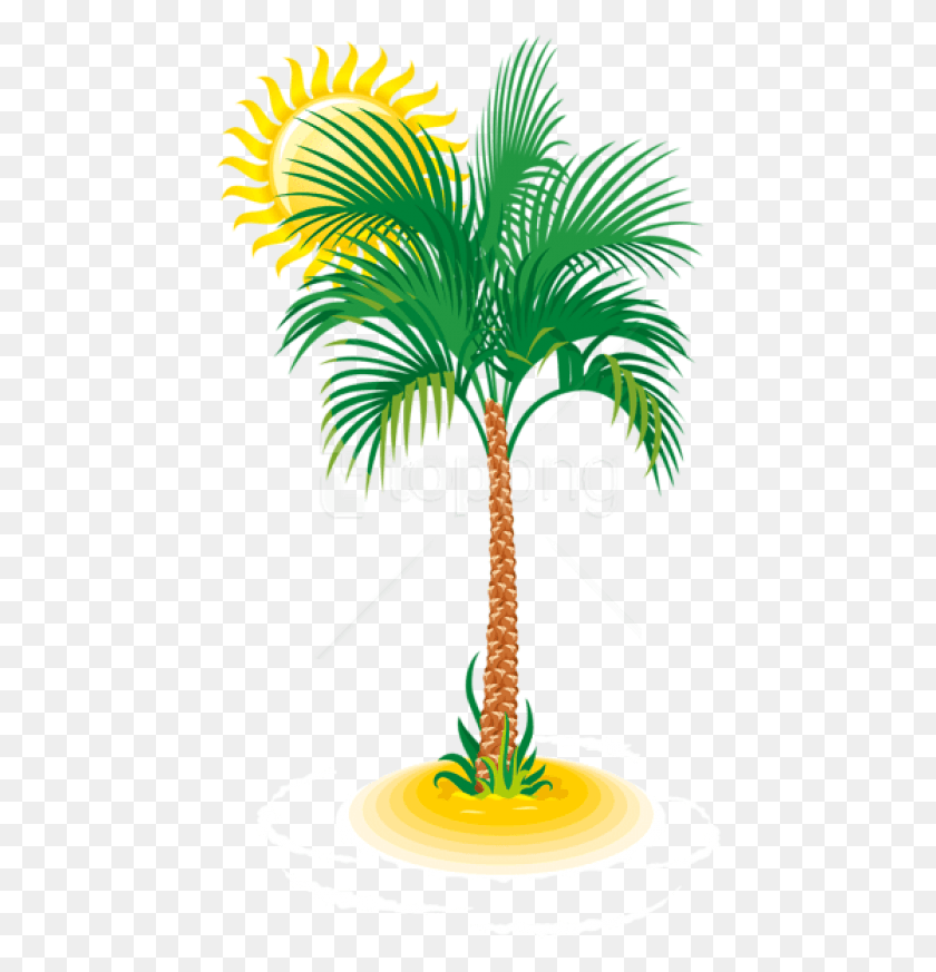 454x813 Free Palm And Sun Images Transparent Tree Vector, Palm Tree, Tree, Plant HD PNG Download