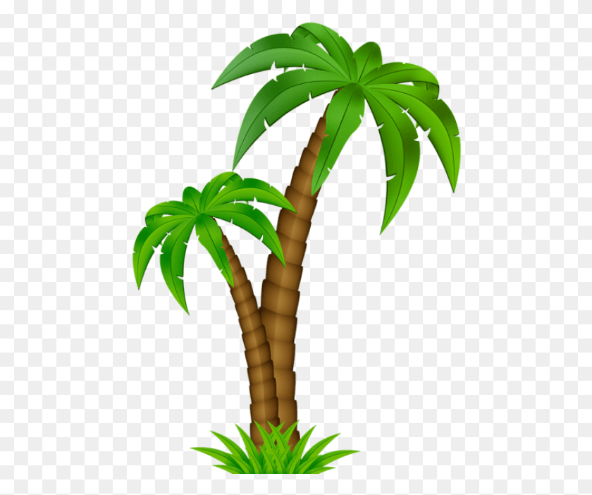 470x642 Free Palm Cartoon Images Background Cartoon Transparent Background Palm Tree, Plant, Tree, Arecaceae HD PNG Download