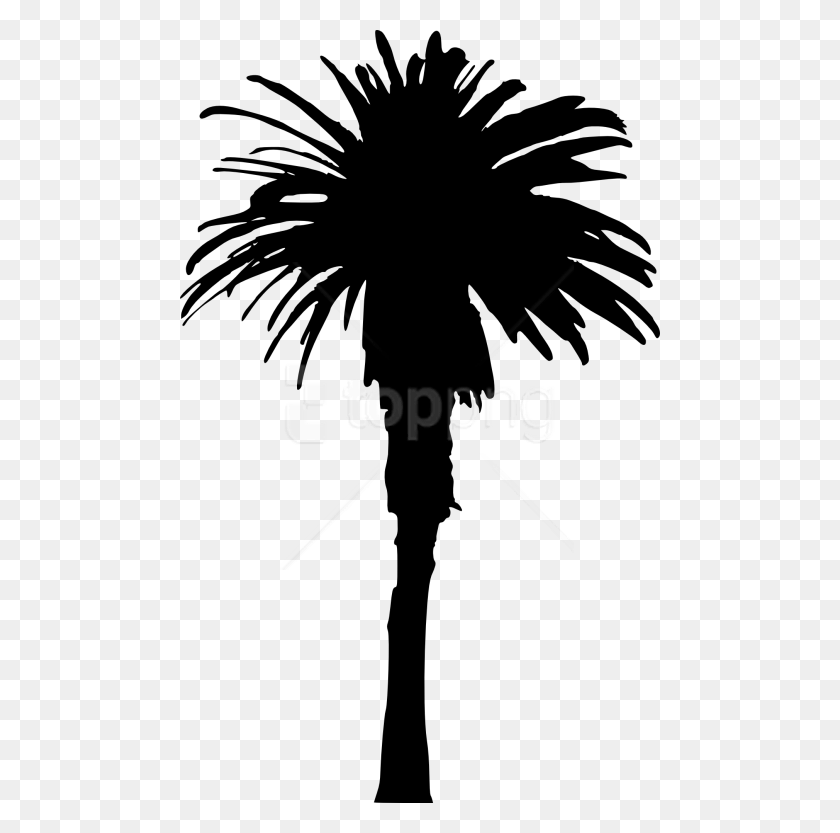480x773 Free Palm Tree Portable Network Graphics, Symbol, Person HD PNG Download