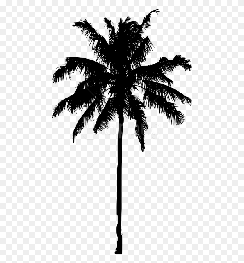 480x846 Free Palm Tree Silhouette Images Transparent Palm Tree Silhouette, Tree, Plant HD PNG Download