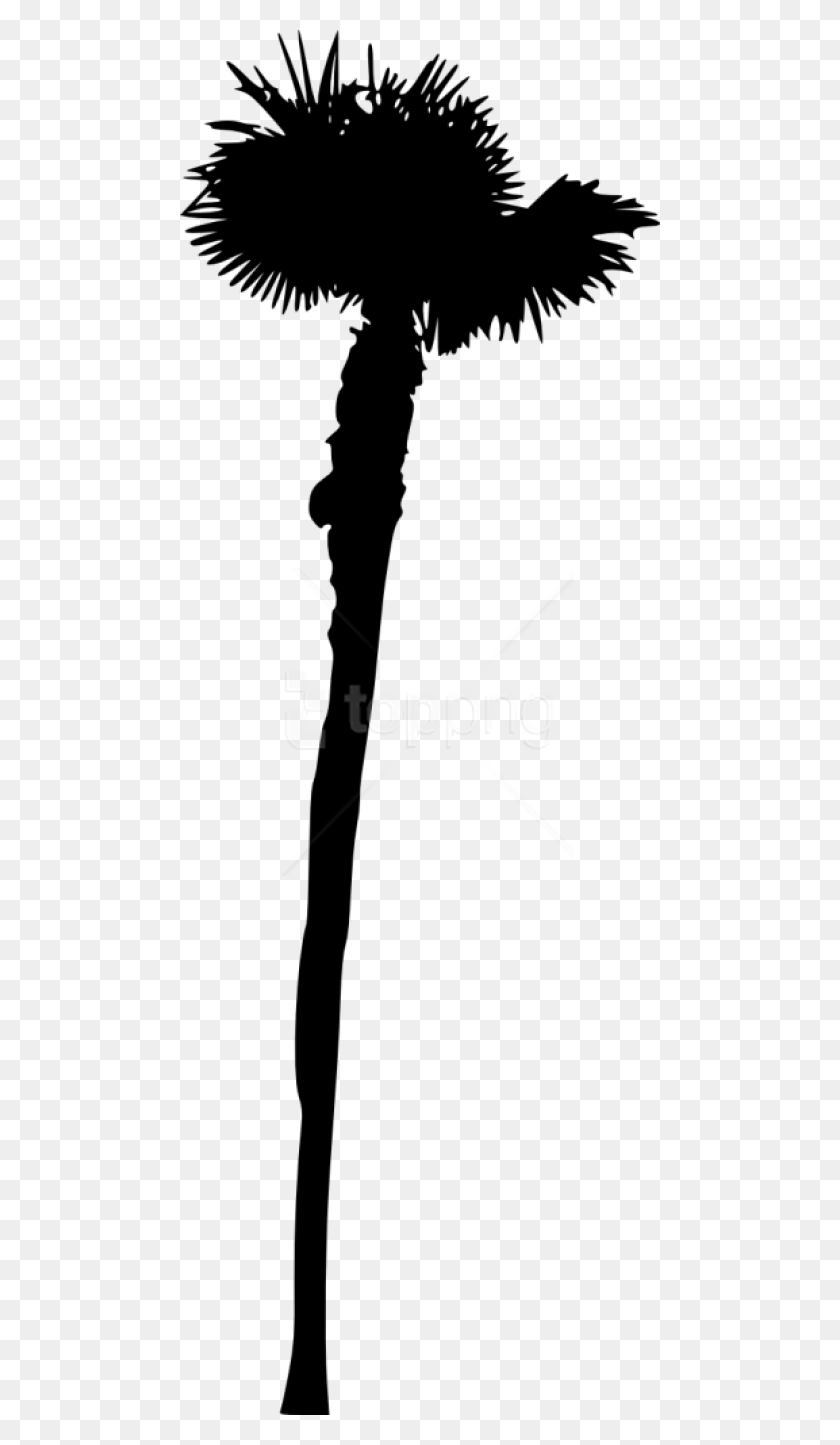 480x1385 Free Palm Tree Silhouette Shadow, Bow, Leisure Activities, Weapon HD PNG Download