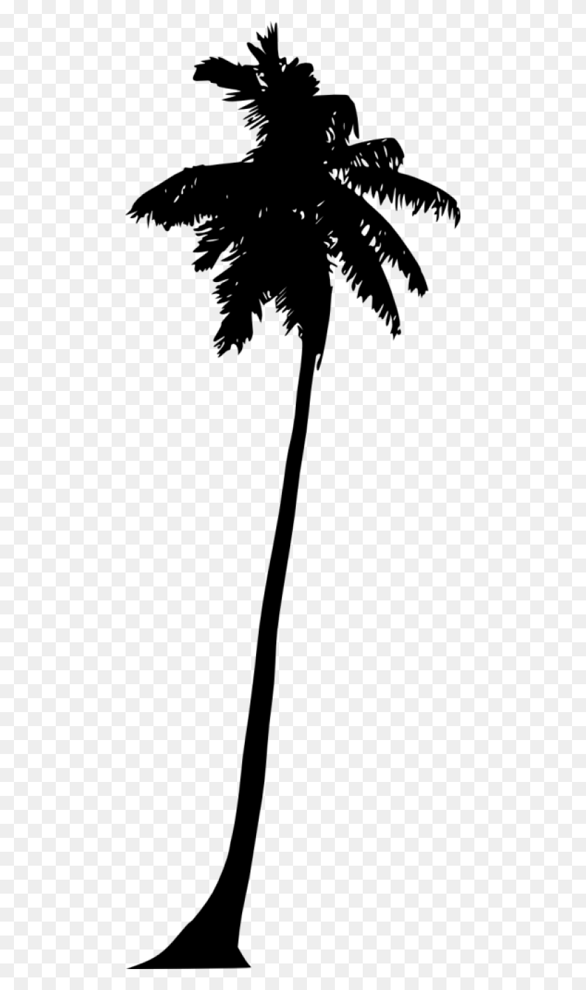 480x1358 Free Palm Tree Silhouette Silhouette, Symbol, Weapon, Weaponry HD PNG Download