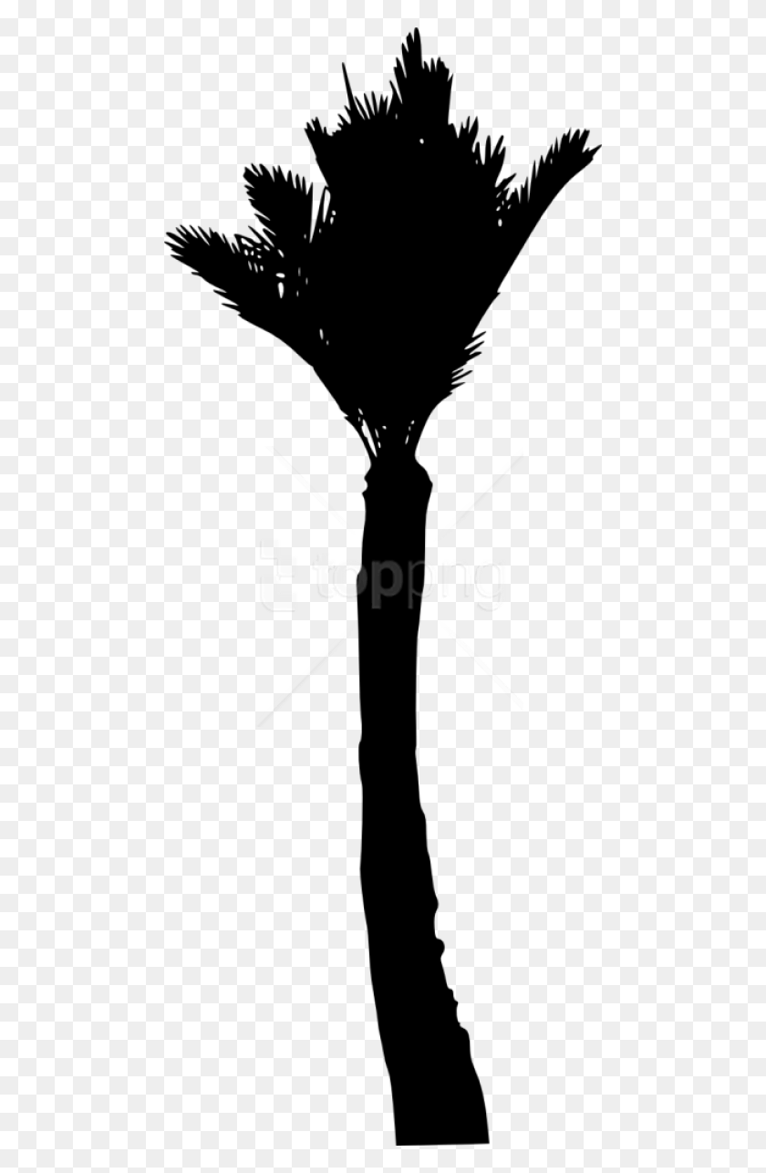 480x1226 Free Palm Tree Silhouette Silhouette, Light, Arrow HD PNG Download