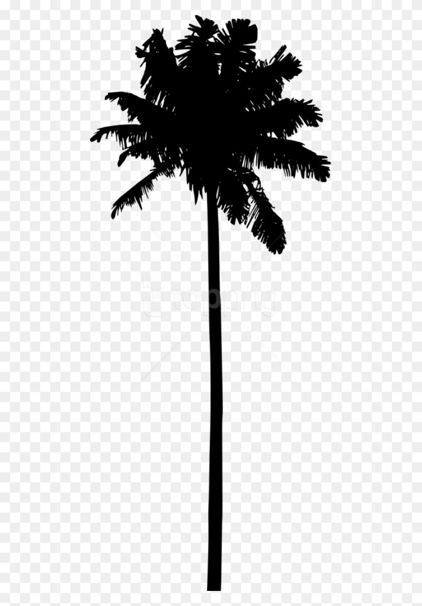 481x1146 Free Palm Tree Silhouette Transparent Palm Tree Silhouettes, Sword, Blade HD PNG Download