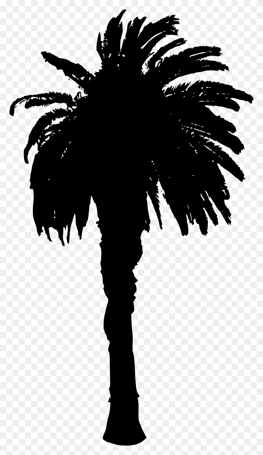 1120x2000 Free Palm Tree Stamp, Stencil, Person HD PNG Download