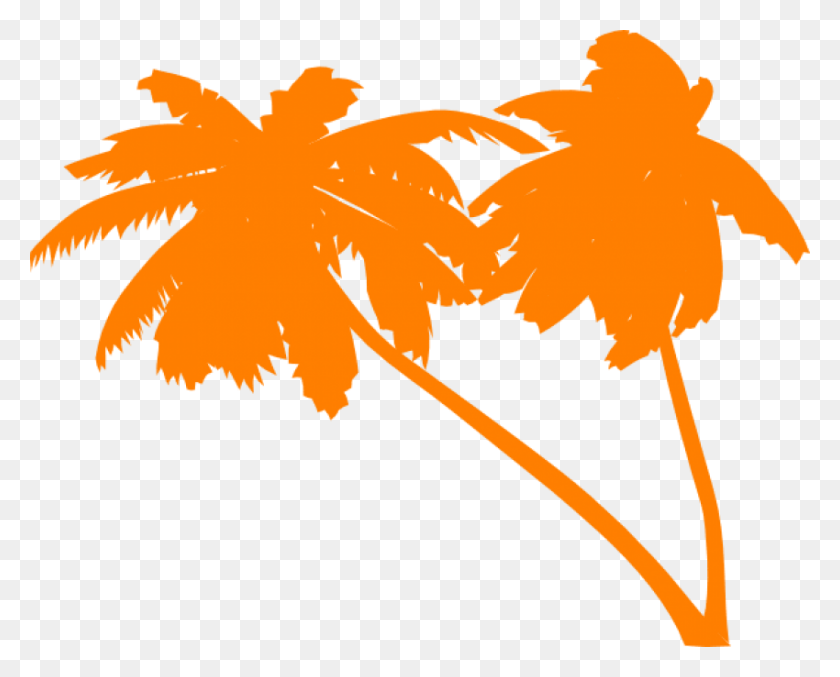 850x673 Png Пальмовое Дерево Векторных Изображений Фон Пляж Деревья Вектор, Лист, Растение, Кленовый Лист Hd Png