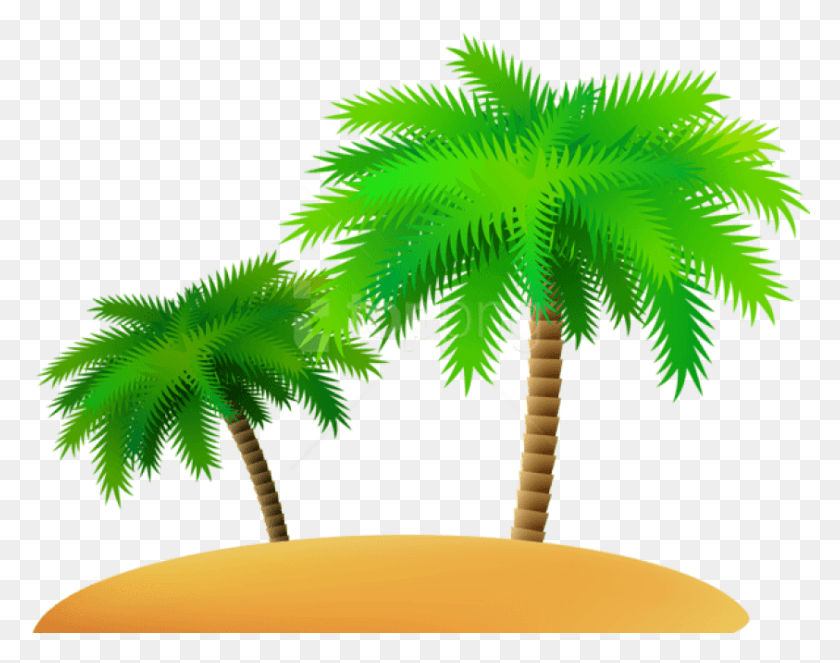 843x652 Бесплатные Изображения Пальм И Песчаного Острова Пальмовый Остров, Растение, Зеленый, Дерево Png Скачать