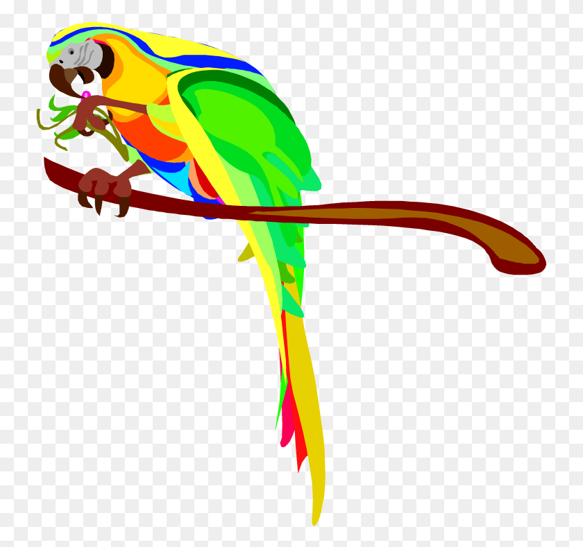 737x729 Free Parrot And Macaw Clipart Australian Parrots Clipart, Animal, Bird, Bow HD PNG Download