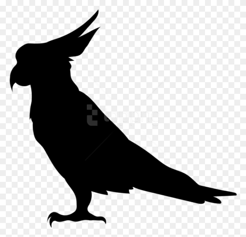 830x796 Free Parrot Silhouette Parrot Silhouette, Text, Analog Clock, Clock HD PNG Download
