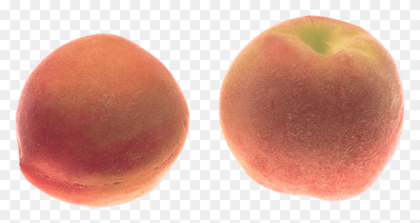 851x422 Free Peach Images Transparent Peach, Plant, Fruit, Food HD PNG Download