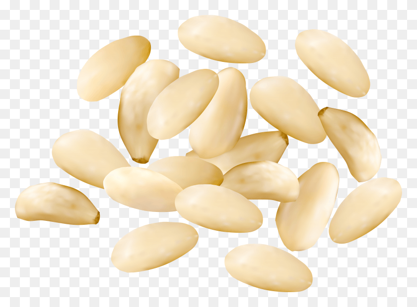 6144x4418 Free Pine Nuts Clipart Photo Images Pine Nuts Clipart HD PNG Download