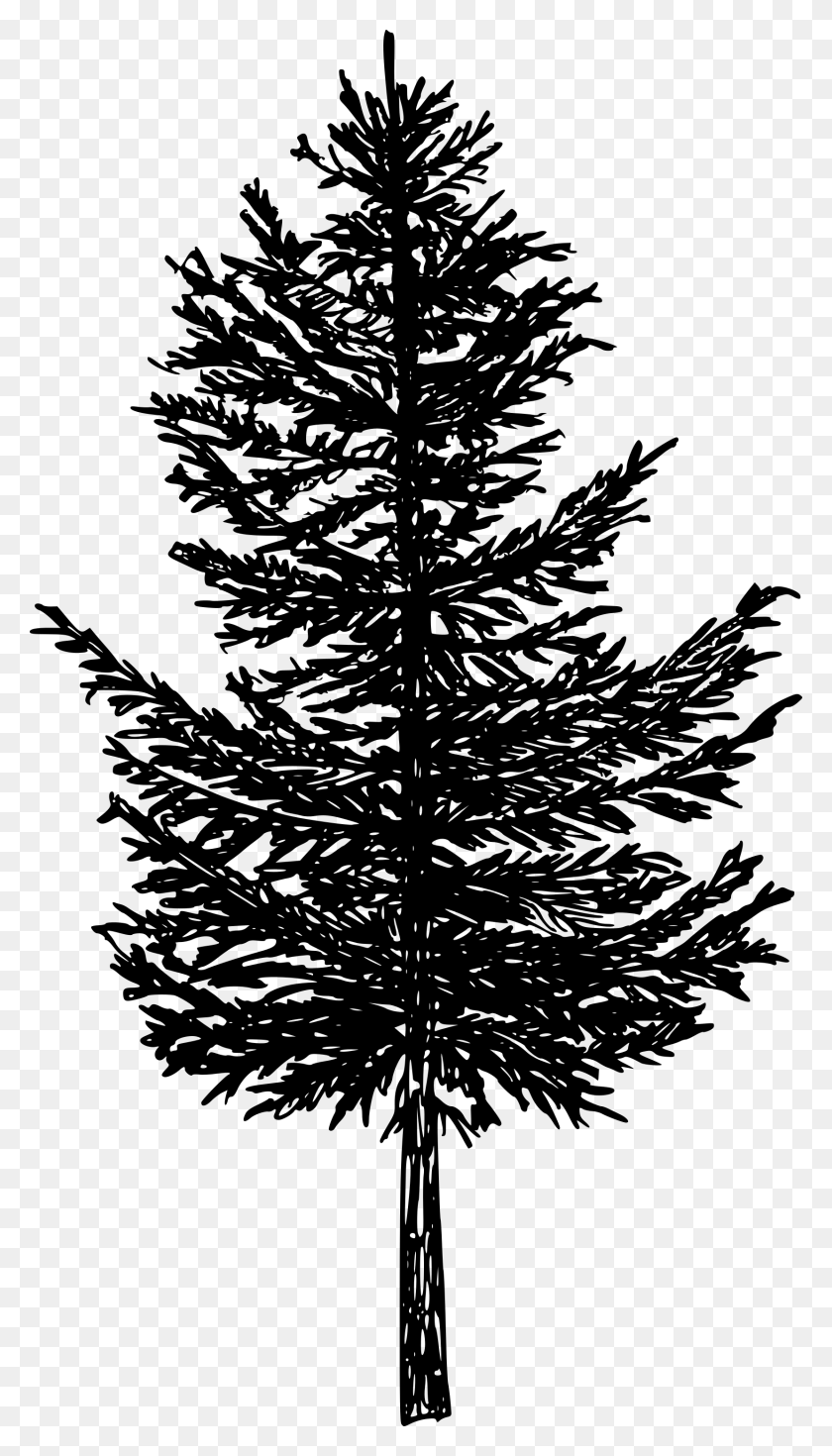 1658x2999 Free Pine Tree Silhouette Drawing, Gray, World Of Warcraft HD PNG Download