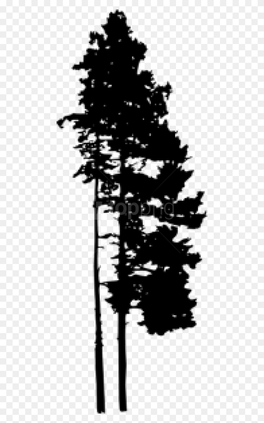 480x1286 Free Pine Tree Silhouette Free Images Transparent Jack Pine, Leaf, Plant HD PNG Download