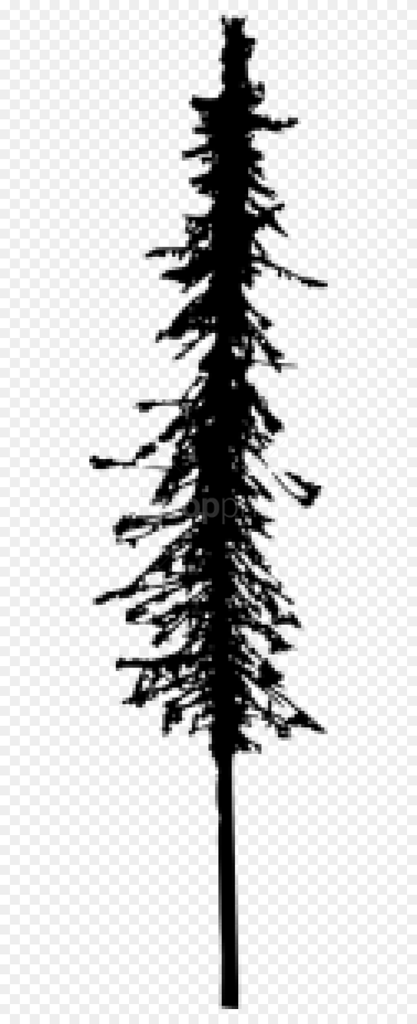 480x2000 Free Pine Tree Silhouette Images Transparent Christmas Tree, Stencil, Arrow HD PNG Download