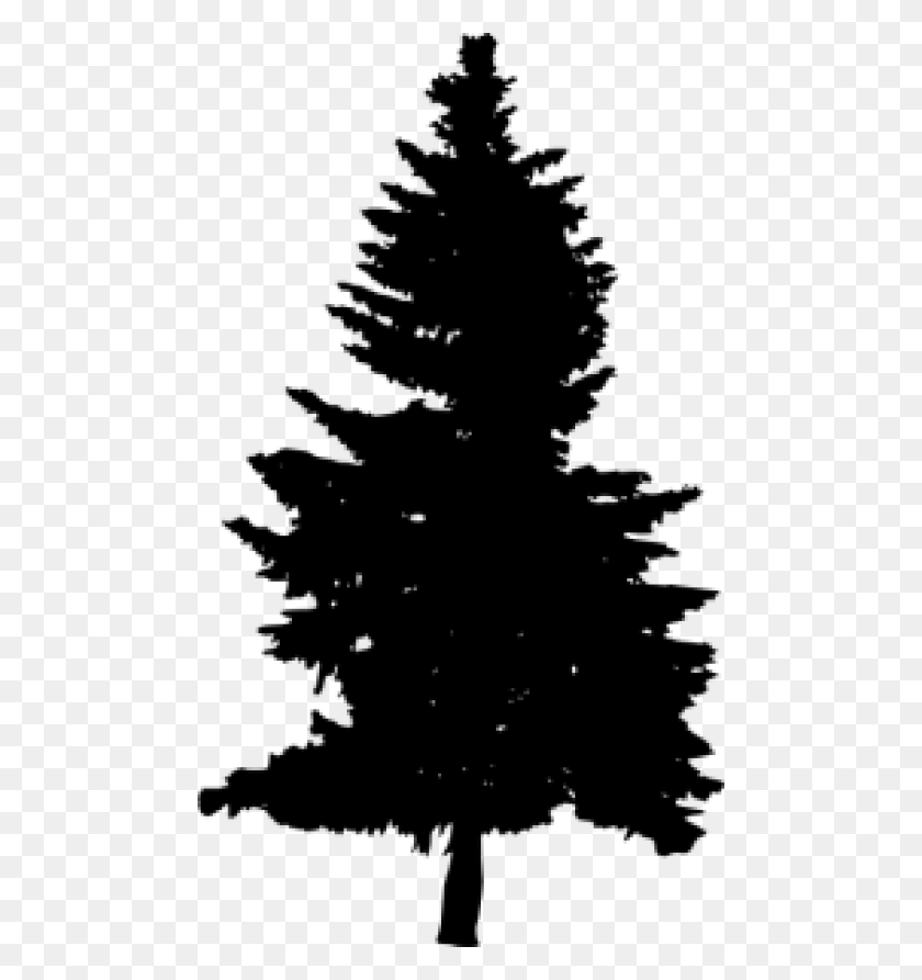 480x833 Free Pine Tree Silhouette Images Transparent Forest Tree Silhouette, Tree, Plant, Pine HD PNG Download