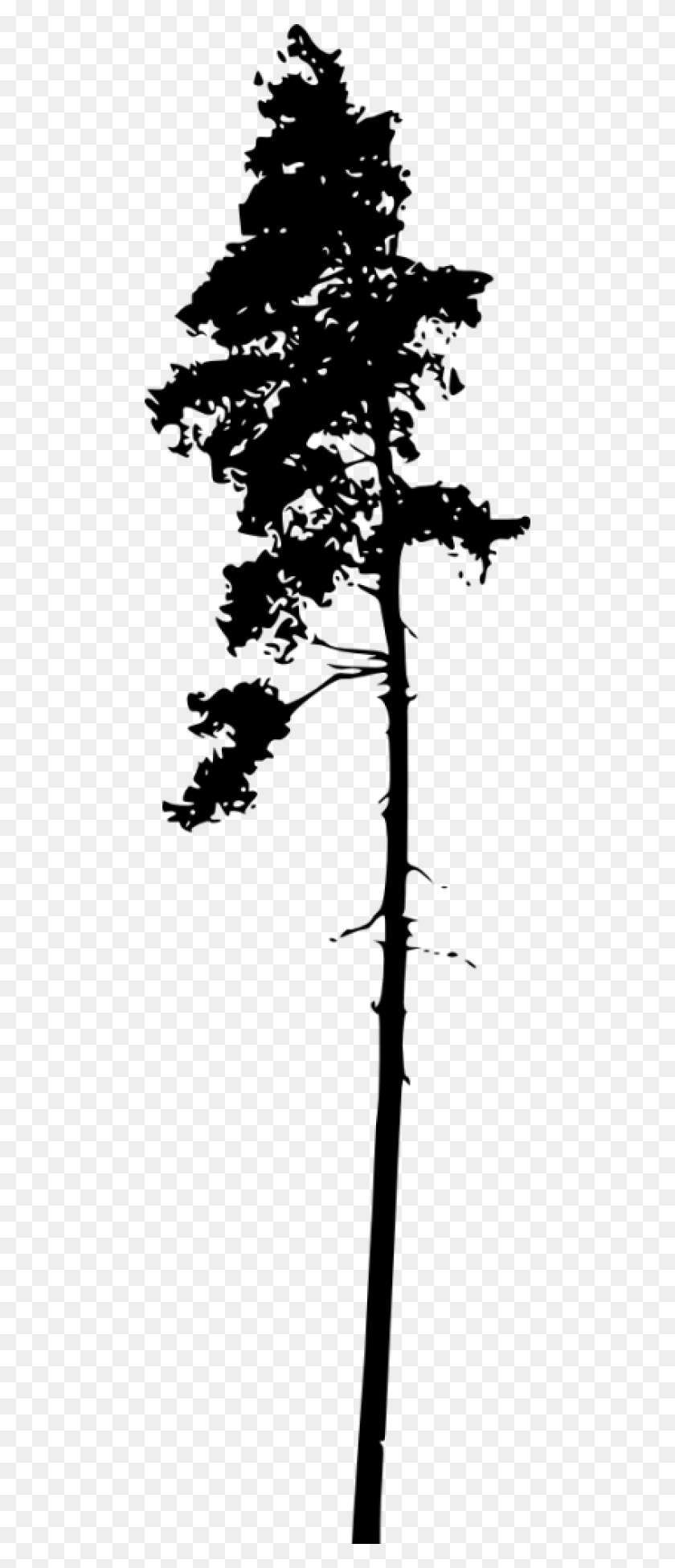 480x1891 Free Pine Tree Silhouette Images Transparent Silhouette, Plant, Tree, Flower HD PNG Download