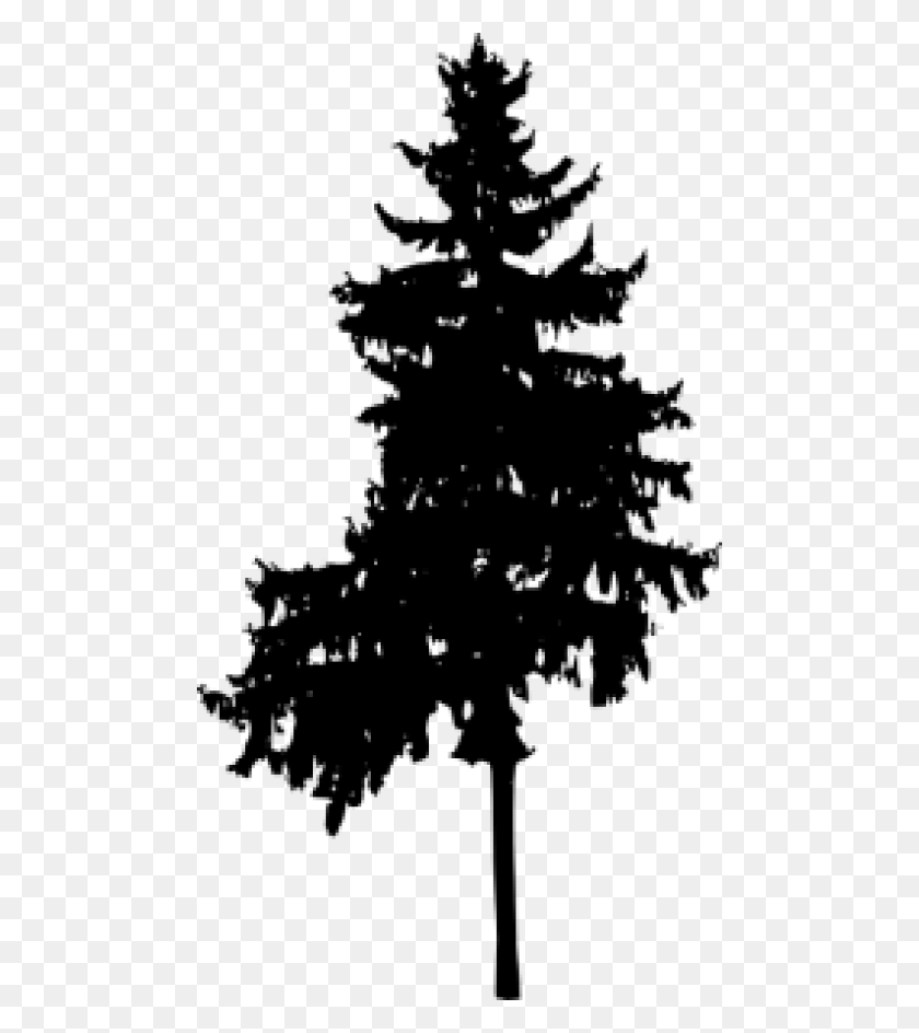 480x884 Free Pine Tree Silhouette Images Transparent White Pine, Tree, Plant HD PNG Download