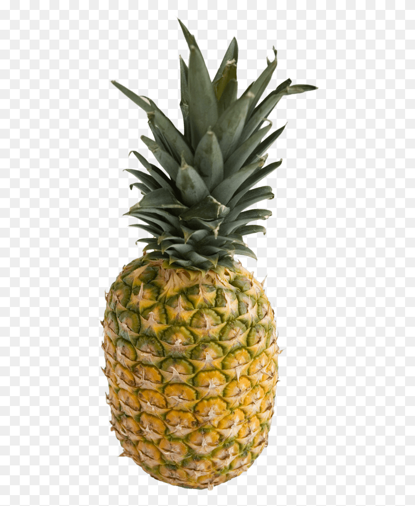 452x962 Free Pineapple Images Transparent Pineapple, Fruit, Plant, Food HD PNG Download