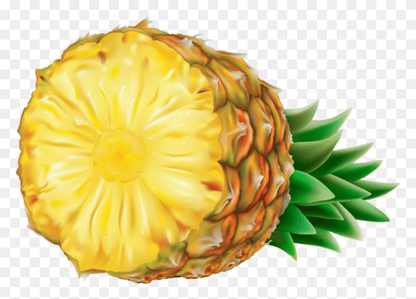 837x584 Free Pineapple Pineapple Art, Plant, Fruit, Food HD PNG Download
