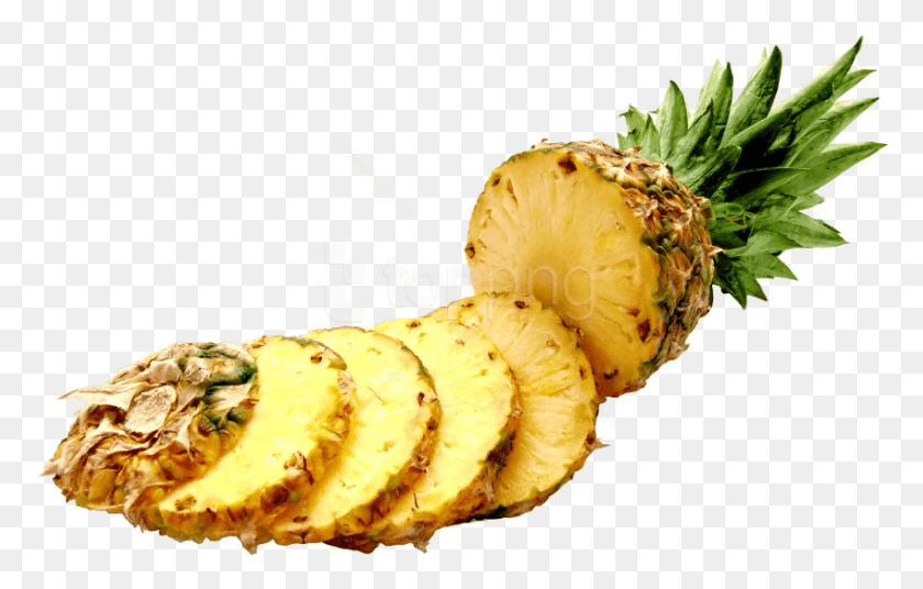 848x518 Free Pineapple Slices Images Transparent Pineapple, Plant, Fruit, Food HD PNG Download