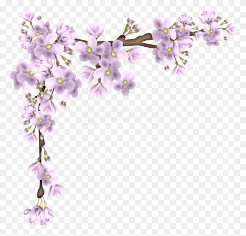 821x784 Png Розовая Весенняя Ветка Прозрачная Весенняя Граница, Растение, Цветок, Цветение Hd Png