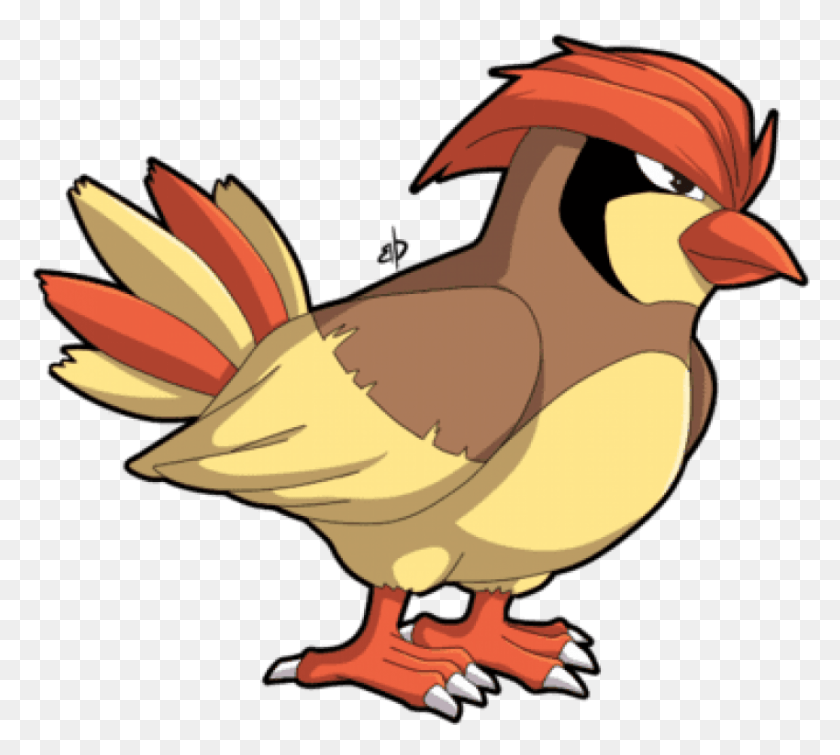850x758 Descargar Png / Pájaro De Pokemon Con Cabello Png