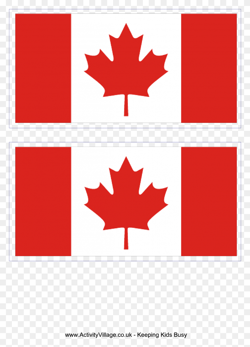 2286x3245 Канадский Флаг От Моря К Морю Канада, Лист, Растение, Дерево Png Скачать