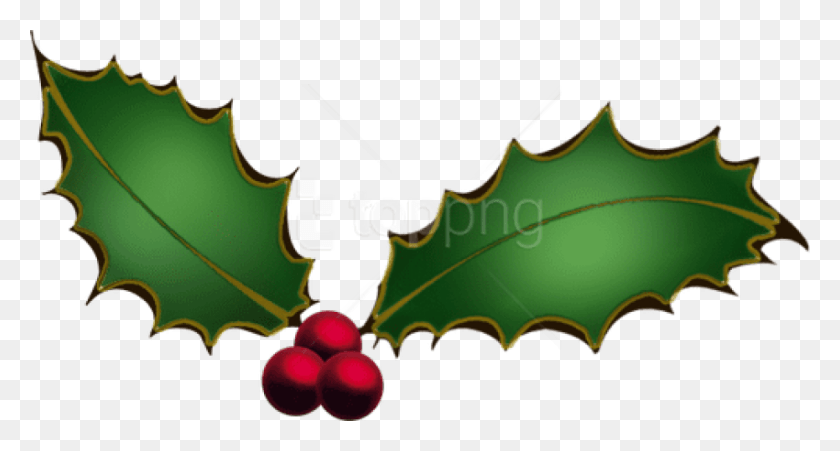 850x427 Free Psptubez Xmas 574 Images Background Christmas Holly No Background, Leaf, Plant, Green HD PNG Download