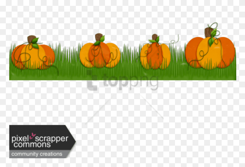 850x560 Free Pumpkin Patch Boarder Image With Transparent Pumpkin, Text, Plant, Label HD PNG Download