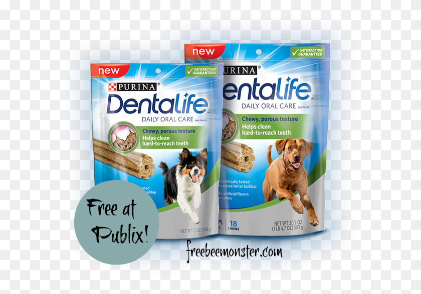 590x528 Free Purina Dentalife Dog Treats Dental Life Purina, Pet, Canine, Animal HD PNG Download