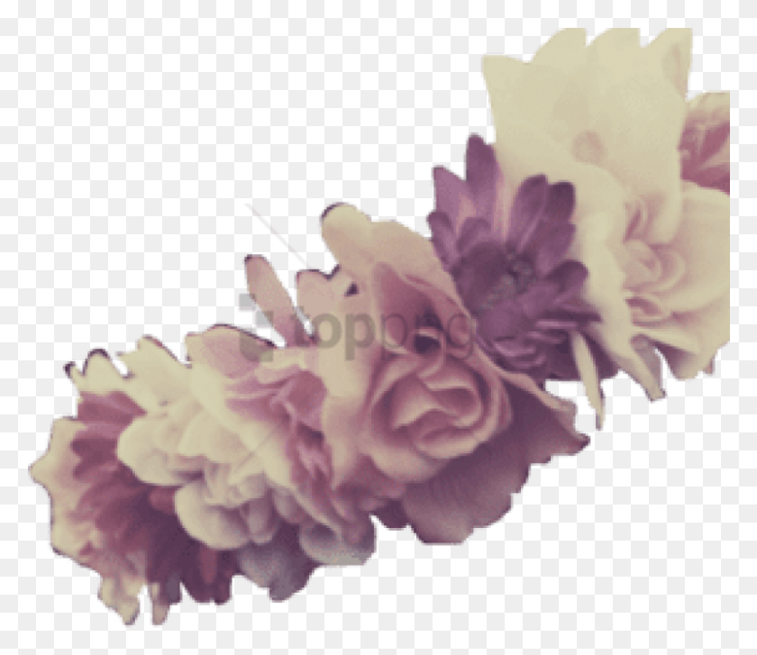 800x685 Free Purple Flower Crown Transparent Image Flower Crown Purple, Plant, Blossom, Carnation HD PNG Download