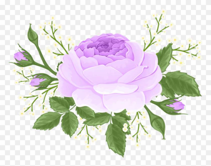850x658 Png Фиолетовая Роза С Белыми Цветами Розовые И Белые Цветы, Графика, Растение Hd Png Скачать