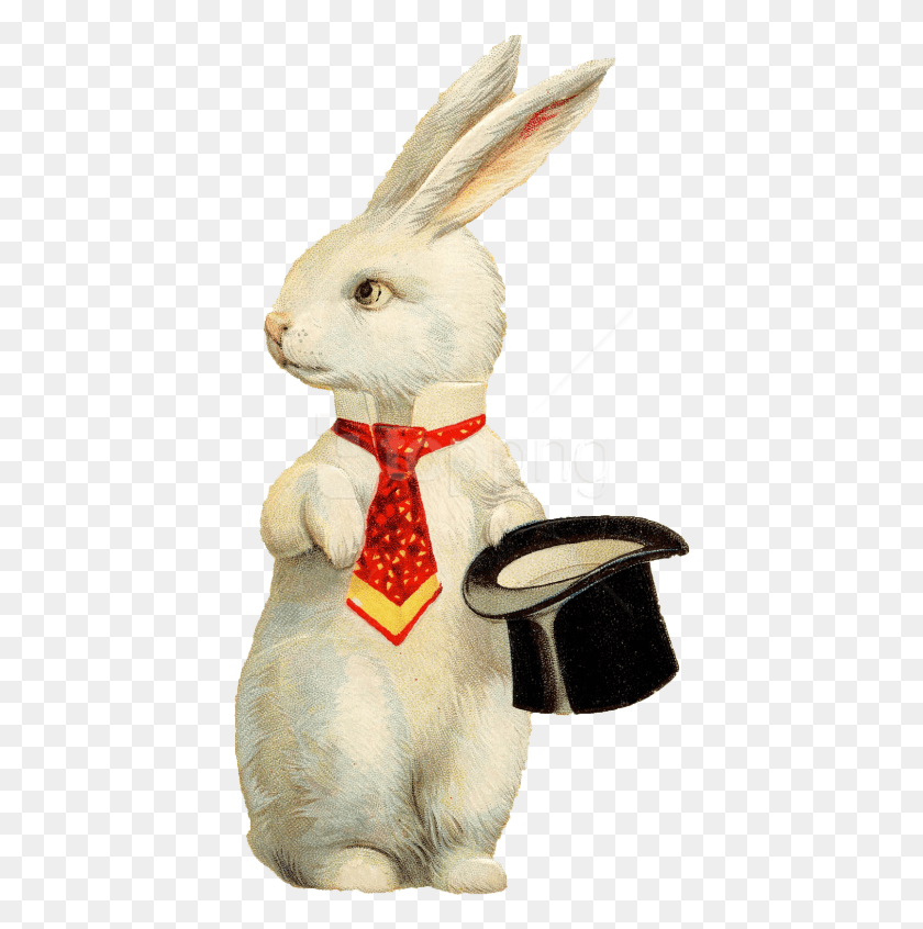 416x786 Free Rabbit Hat Background Image Rabbit With Top Hat, Tie, Accessories, Accessory HD PNG Download